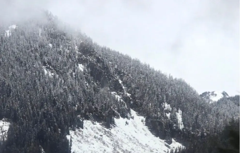 Montaña nevada entre la niebla